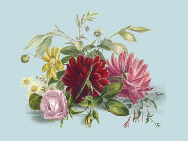 Colorful still life di fiori (1850), un arrangiamento di bellissimi fiori. Miglioramento digitale di rawpixel. vettore