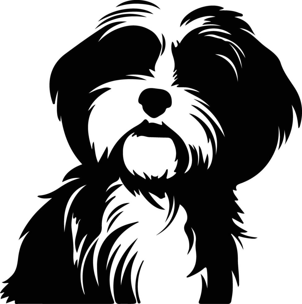 havanese nero silhouette vettore