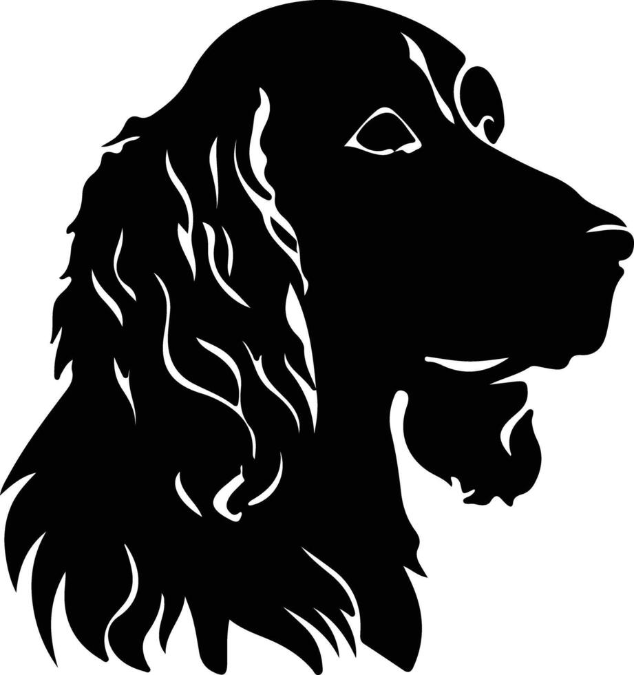 americano acqua spaniel nero silhouette vettore