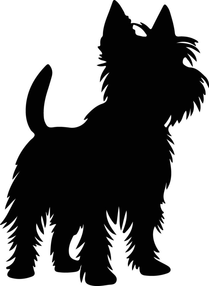 australiano terrier nero silhouette vettore