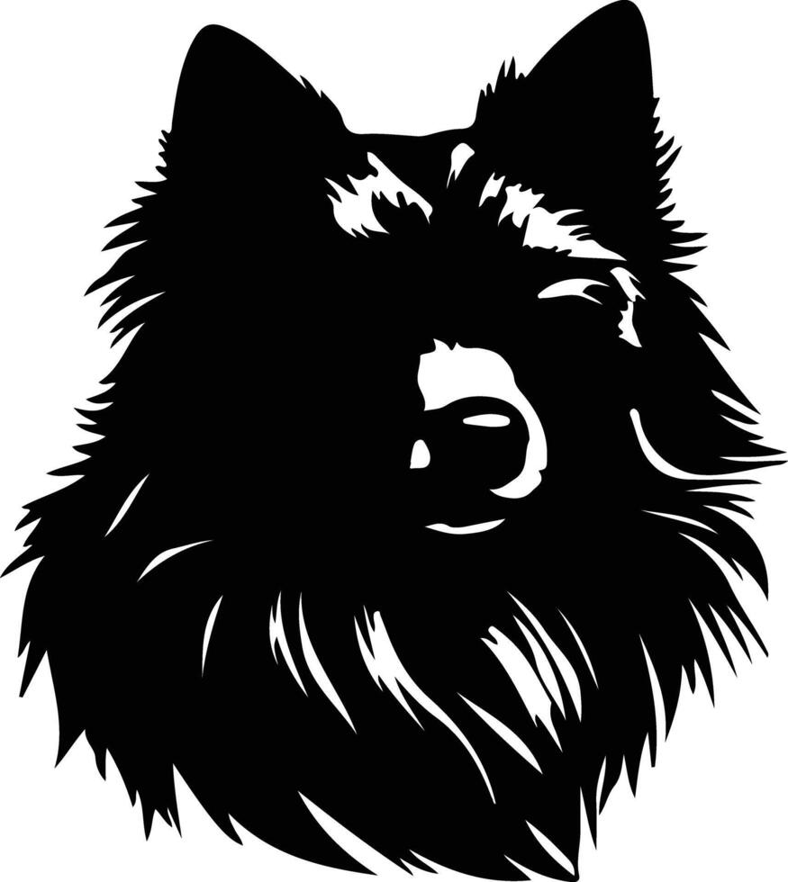 schipperke silhouette ritratto vettore