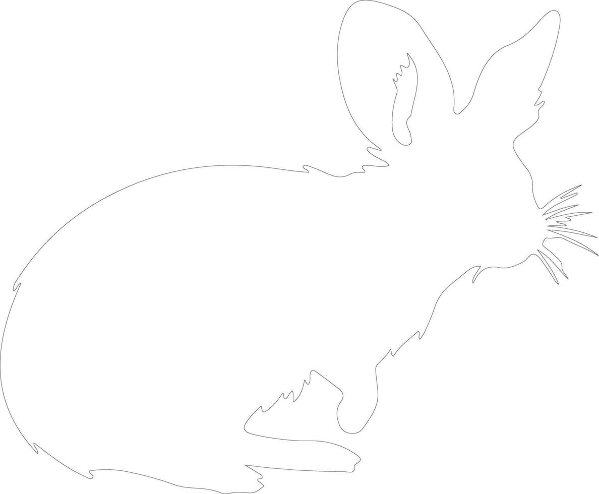 bilby schema silhouette vettore