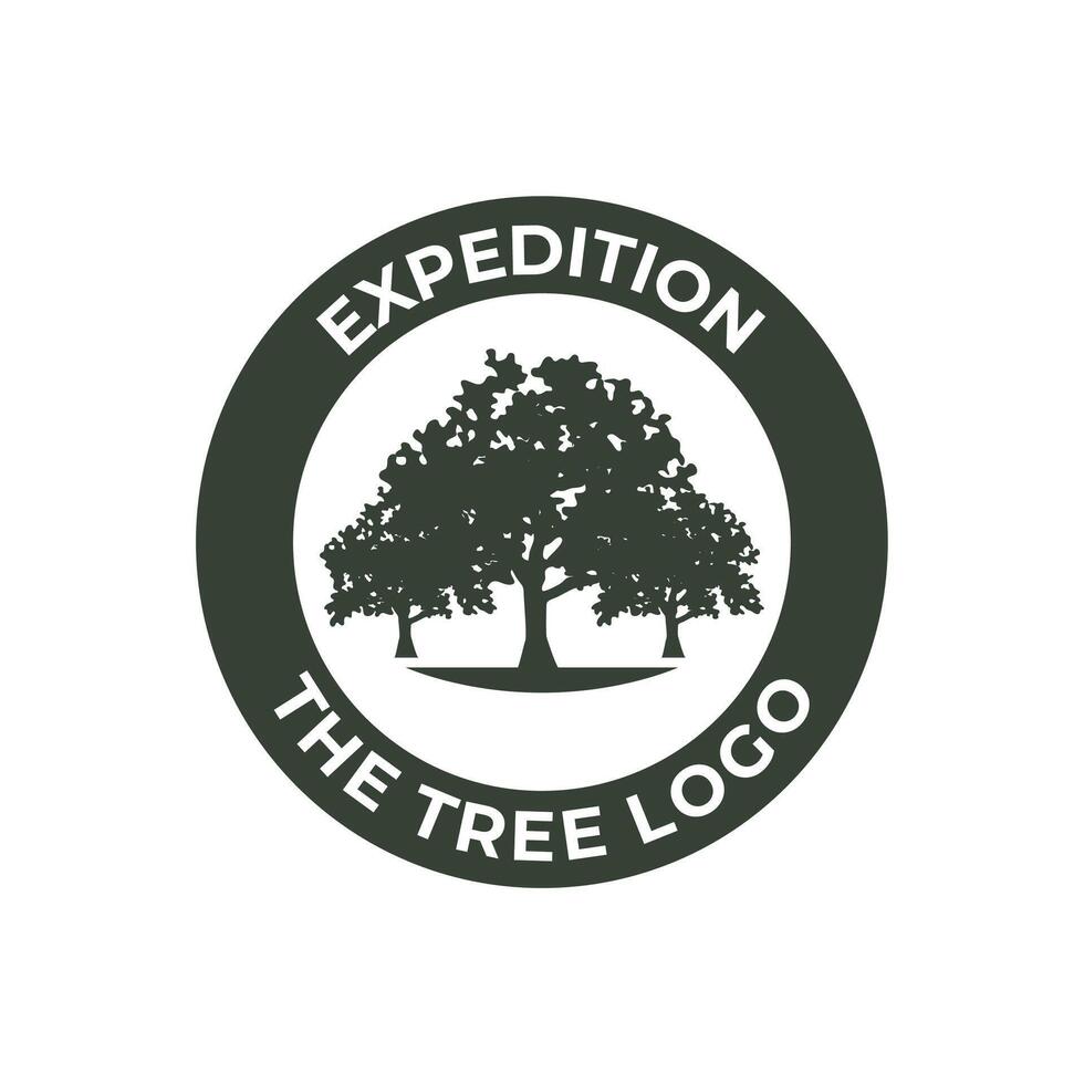 albero logo design. pino foresta logo vettore illustrazione