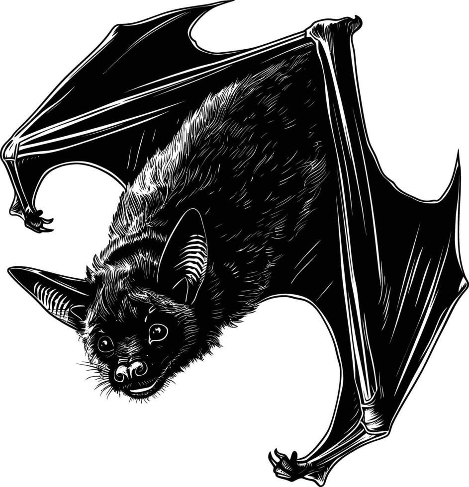 ai generato silhouette pipistrello animale nero colore solo pieno corpo vettore