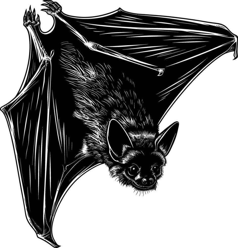 ai generato silhouette pipistrello animale nero colore solo pieno corpo vettore