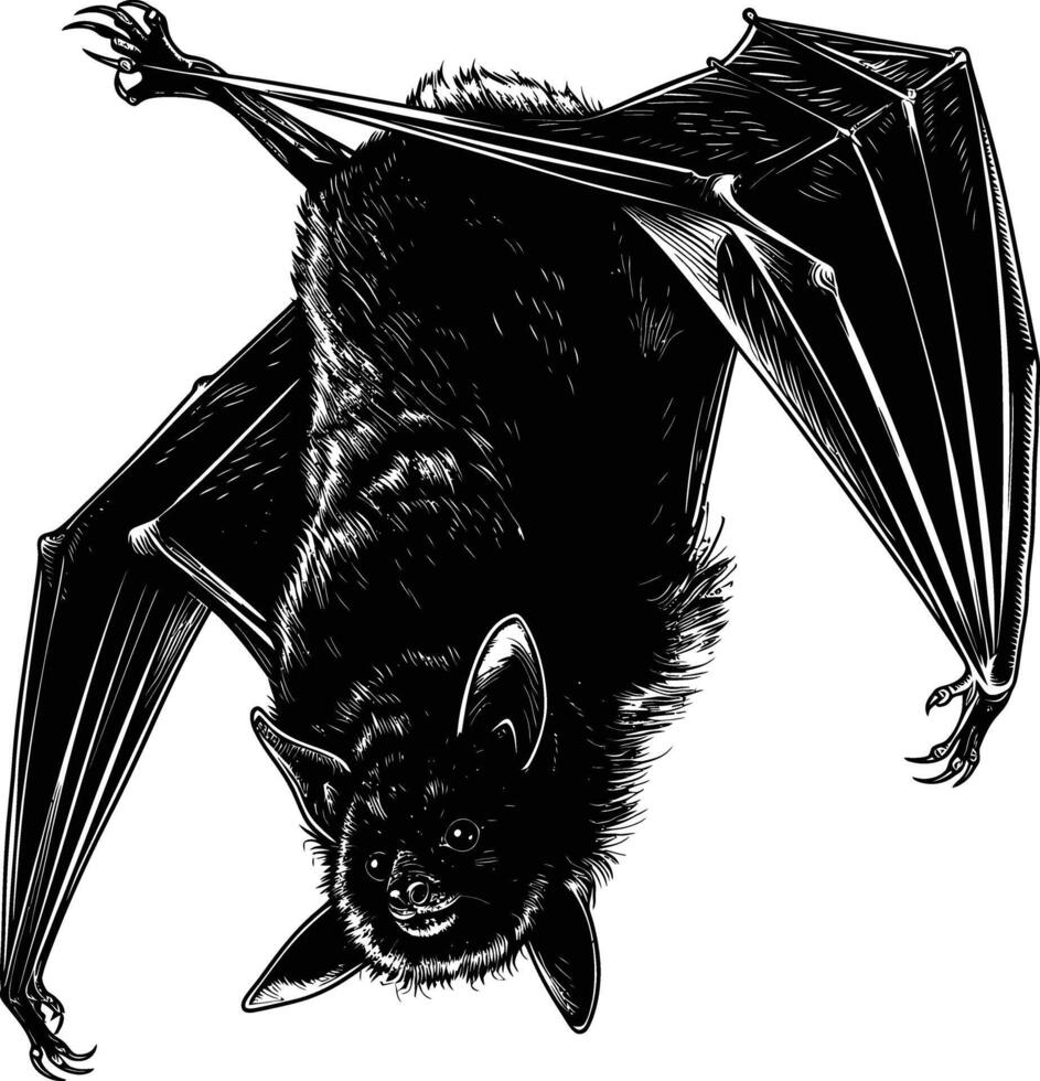 ai generato silhouette pipistrello animale nero colore solo pieno corpo vettore