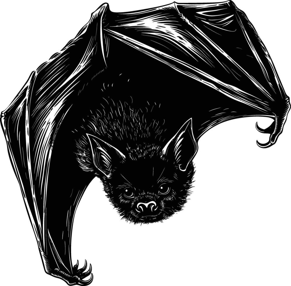 ai generato silhouette pipistrello animale nero colore solo pieno corpo vettore