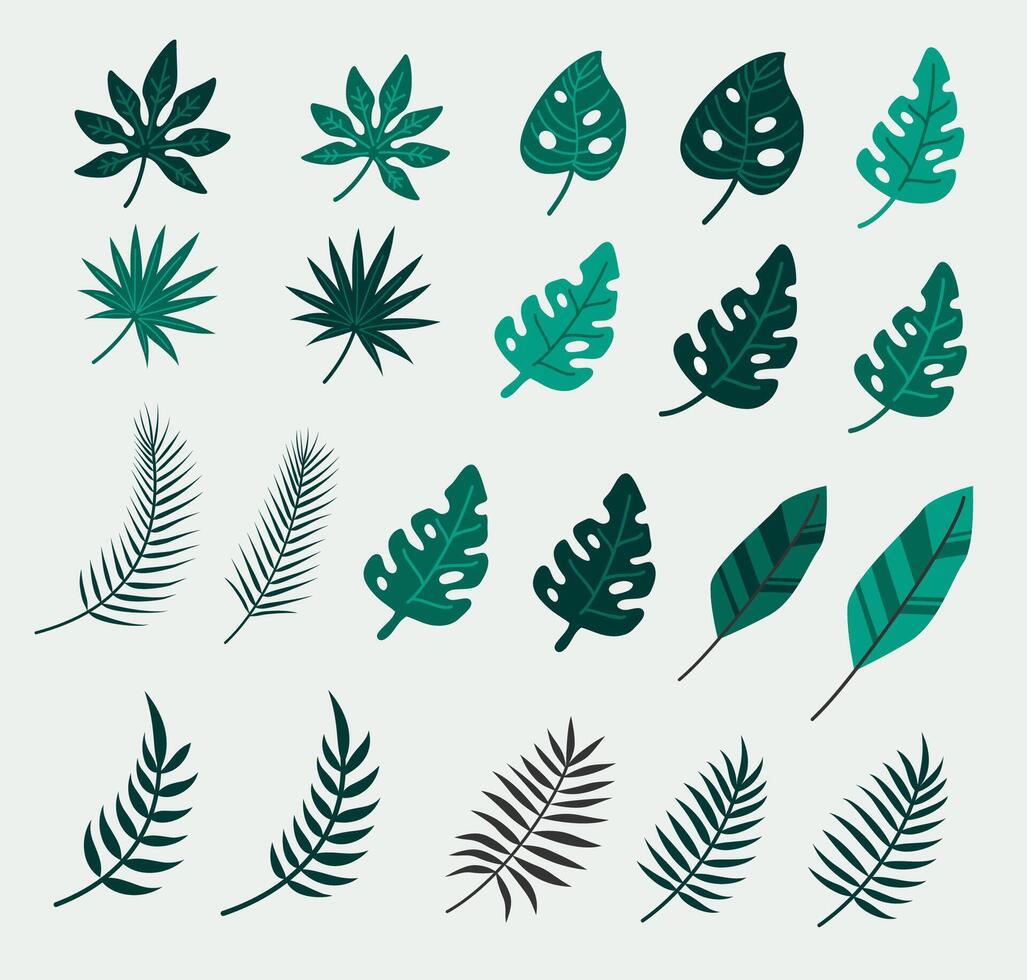 tropicale le foglie collezione piatto vettore illustrazione isolato con sfondo. Ciao estate. botanico design. estate elemento decorazione. foresta pluviale tintinnio