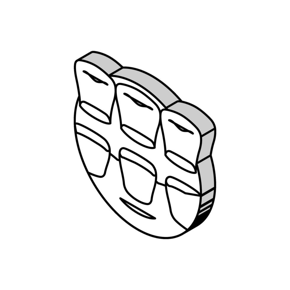 impiallacciature dentale procedura isometrico icona vettore illustrazione