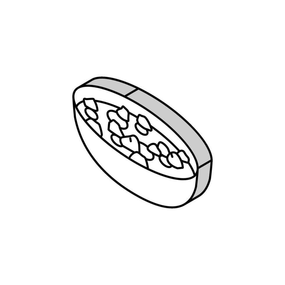 minestrone la minestra italiano cucina isometrico icona vettore illustrazione