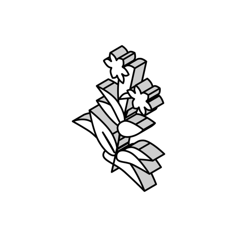 fiore pianta fitoterapia isometrico icona vettore illustrazione