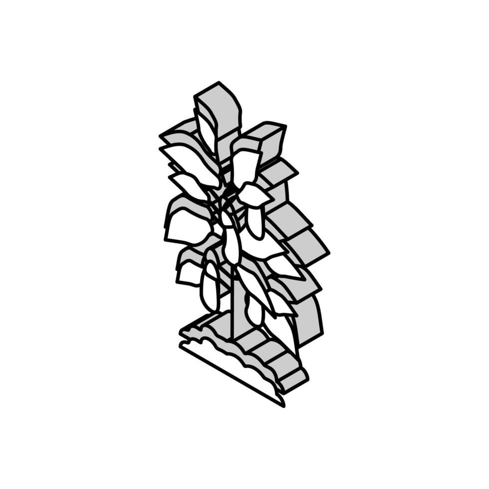 pianta melanzana isometrico icona vettore illustrazione