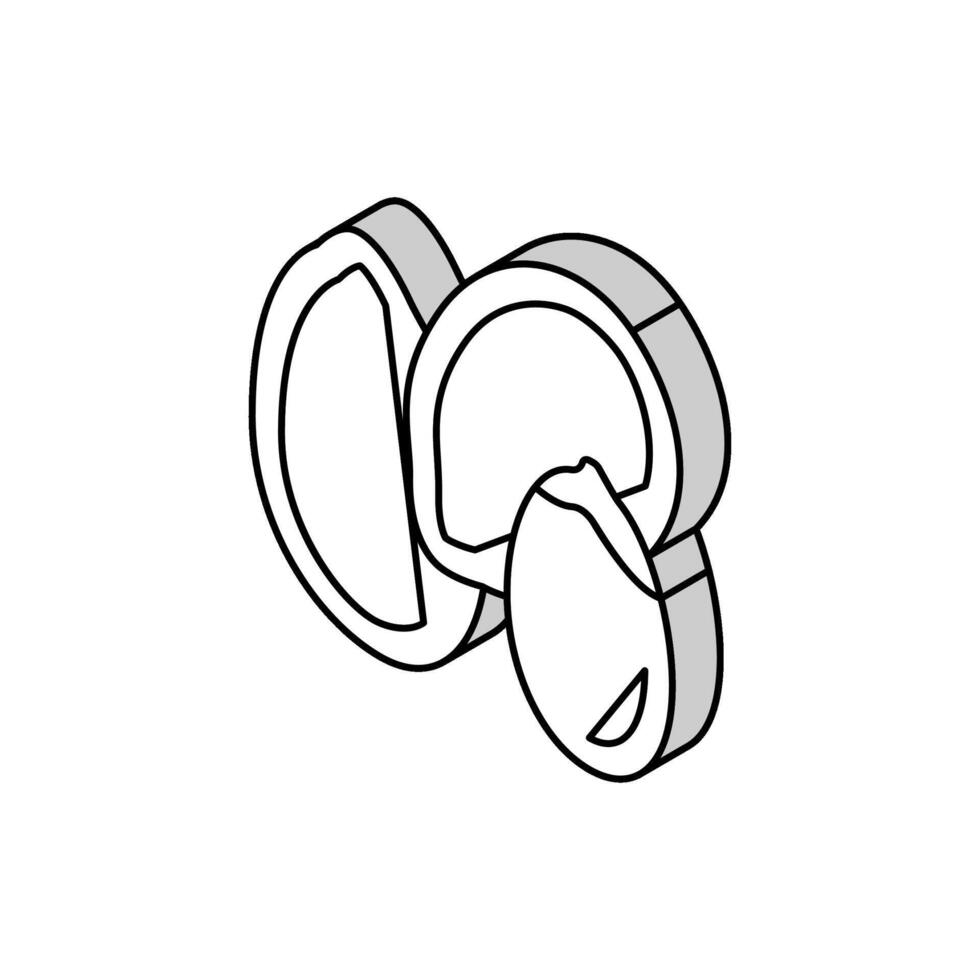 zucca seme isometrico icona vettore illustrazione