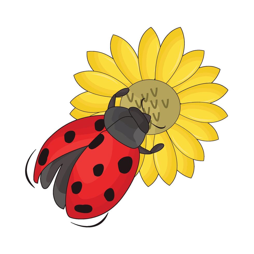 illustrazione di coccinella con fiore vettore