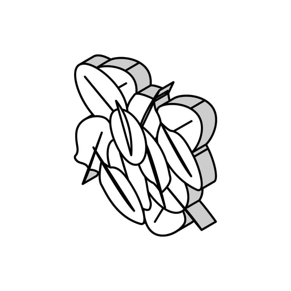 mucchio spinaci isometrico icona vettore illustrazione