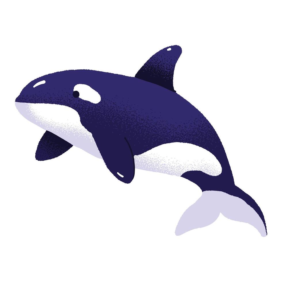 orca oceano mammiferi piatto illustrazione vettore