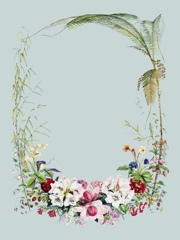 Frontespizio da illustrazioni di piante himalayane (1855) di WH (Walter Hood) Fitch (1817-1892). Miglioramento digitale di rawpixel. vettore