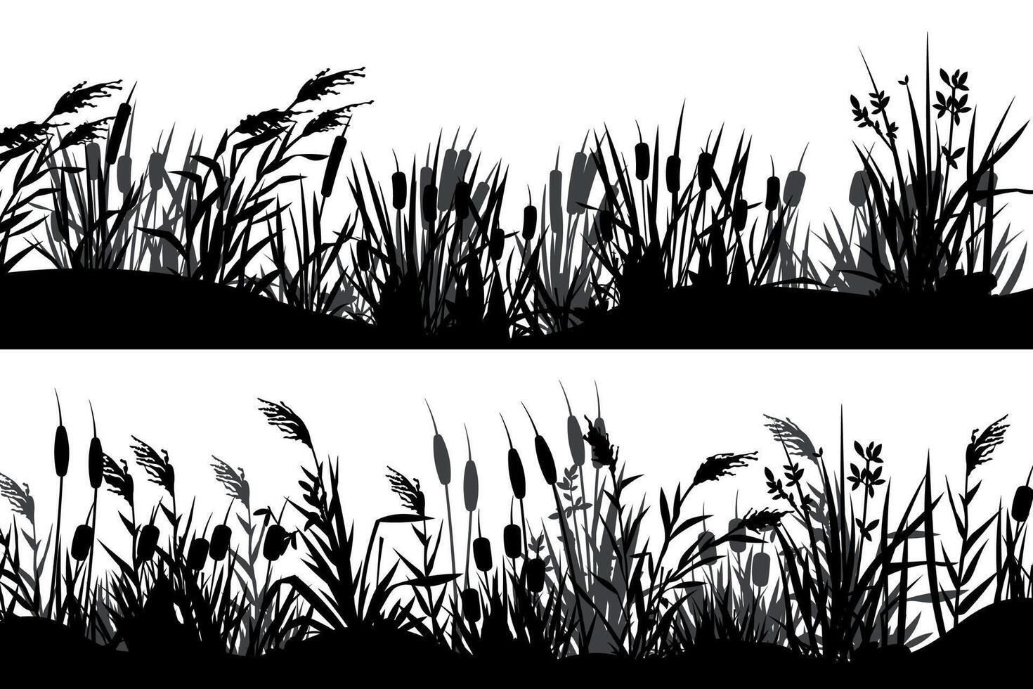 canna silhouette. nero tifa erba striscia confine, palude natura vegetazione orizzontale striscioni, prateria Visualizza. vettore parallasse sfondo elementi