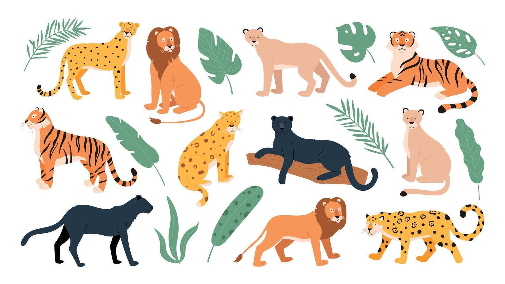 grande felino famiglia animali, tigre, Leone, ghepardo e leopardo. selvaggio gatti a partire dal savana e tropicale foresta. giaguaro e pantera piatto vettore impostato
