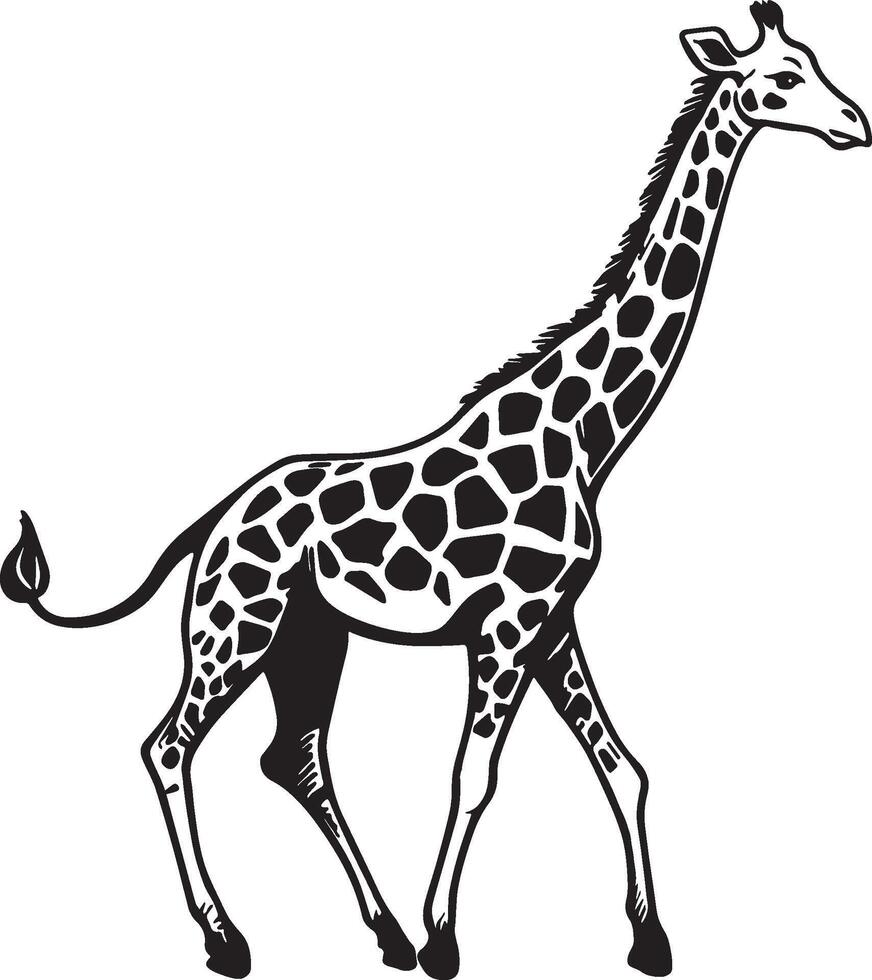 giraffa schizzo disegno. vettore