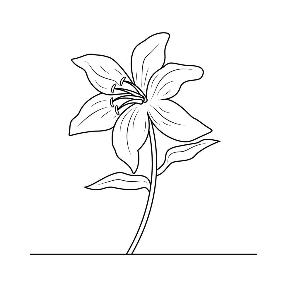il illustrazione di giglio fiore vettore