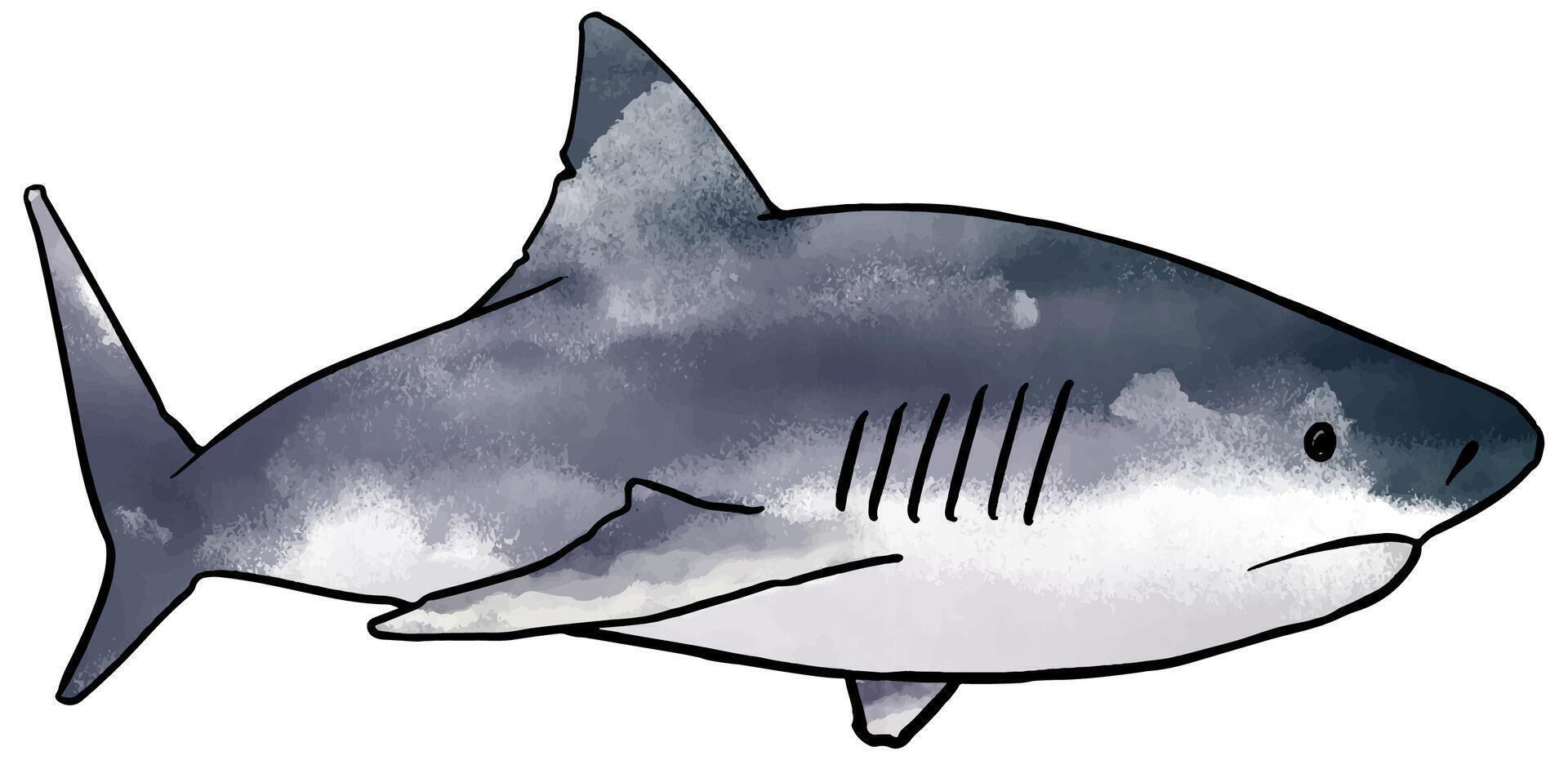 acquerello stile squalo mano disegnato vettore illustrazione.
