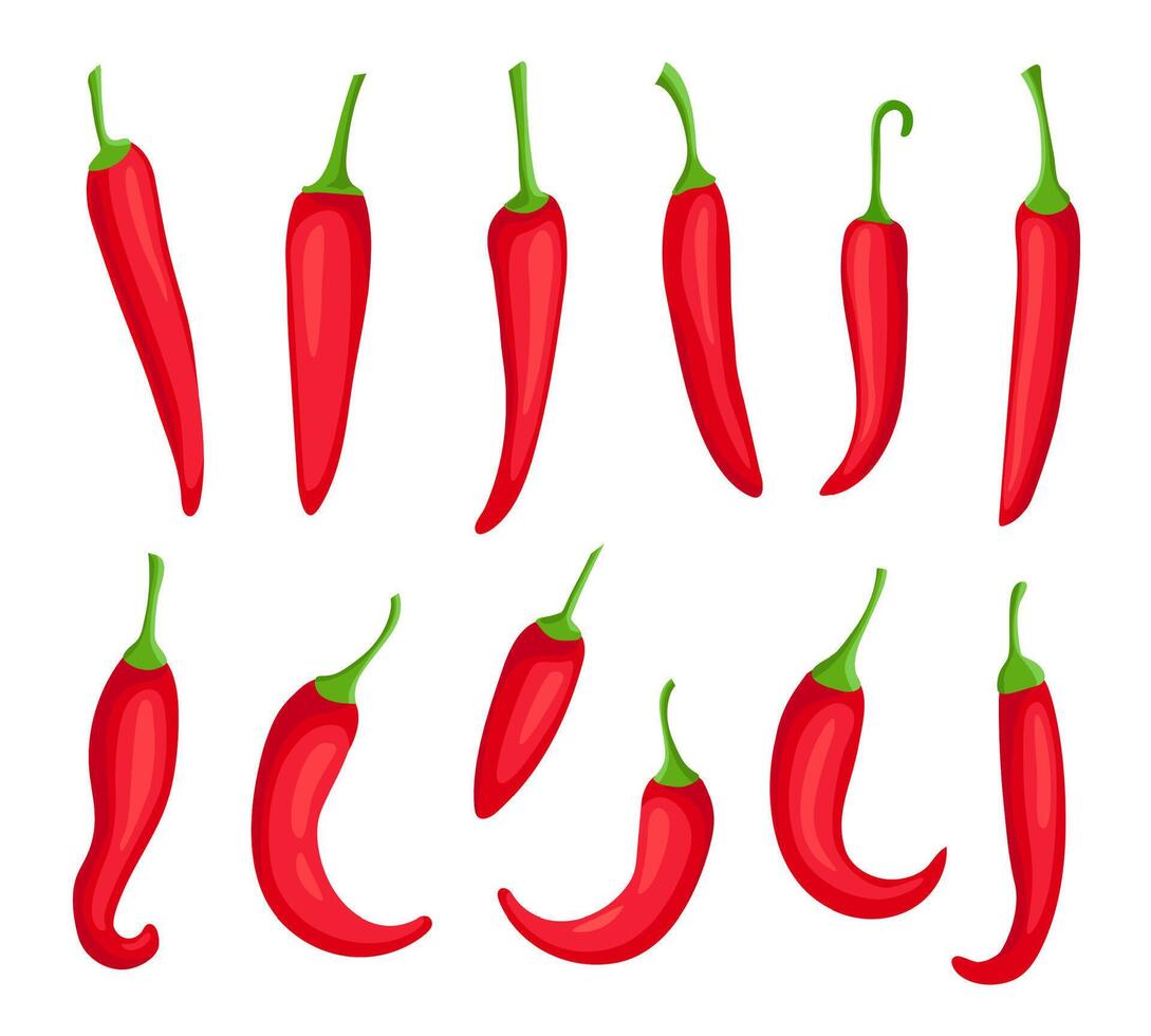 chili peperoni. cartone animato speziato caldo rosso Pepe. peperoncino di Cayenna e capsaicina Spezia ingrediente per peperoncino salsa. messicano Pepe logo elemento vettore impostato