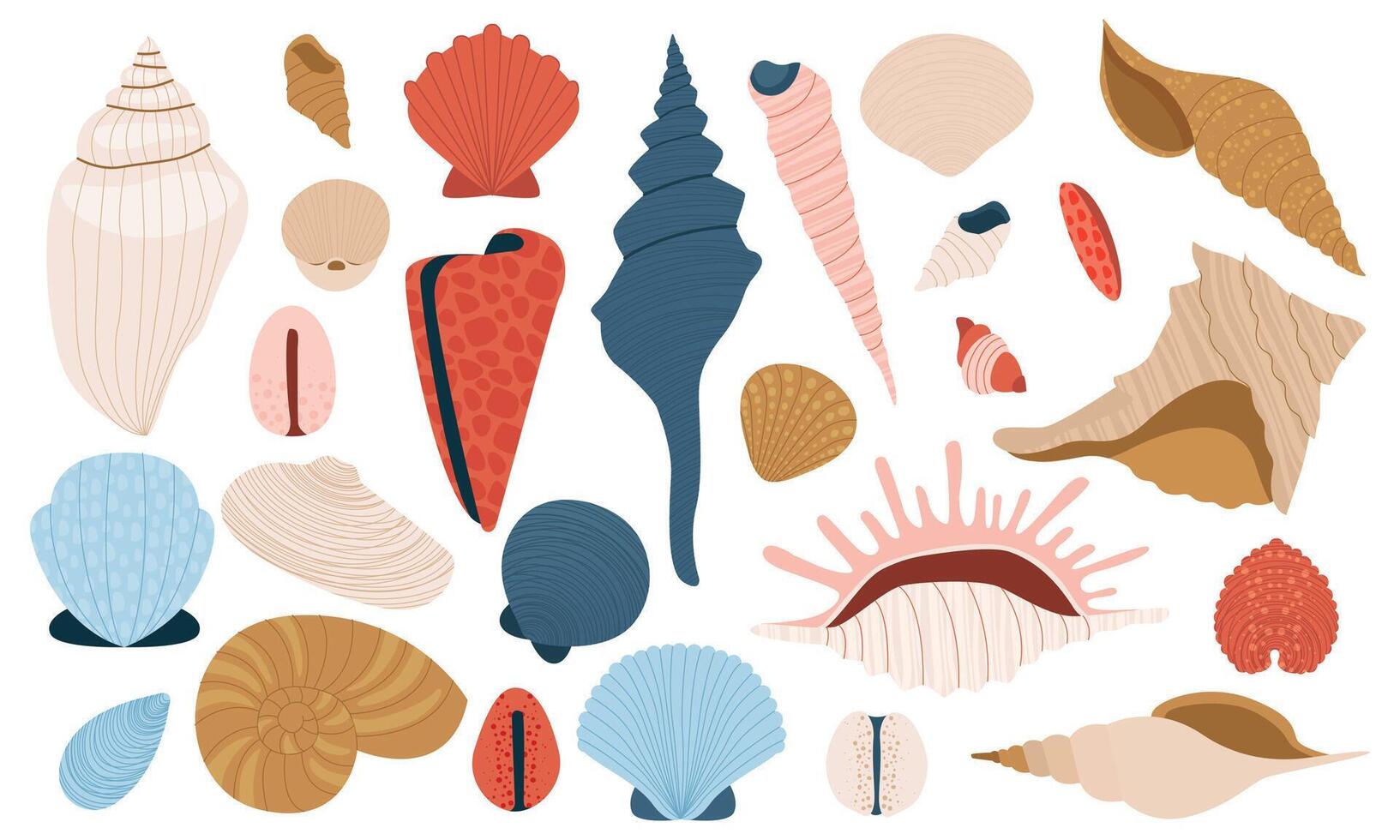 mare conchiglie. cartone animato colorato marino conchiglie, nautico marino crostacei, pettine e mollusco, estate spiaggia vacanza piatto design. vettore isolato impostato