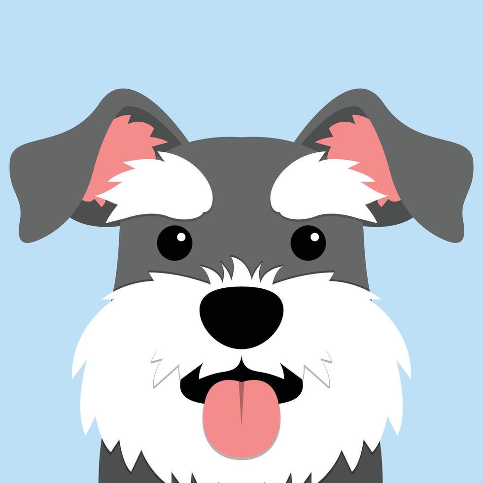 carino miniatura schnauzer cane piatto disegno, vettore illustrazione