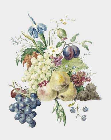 Natura morta di fiori e frutti di Jean Bernard (1775-1883). Originale dal Museo Rijks. Miglioramento digitale di rawpixel. vettore