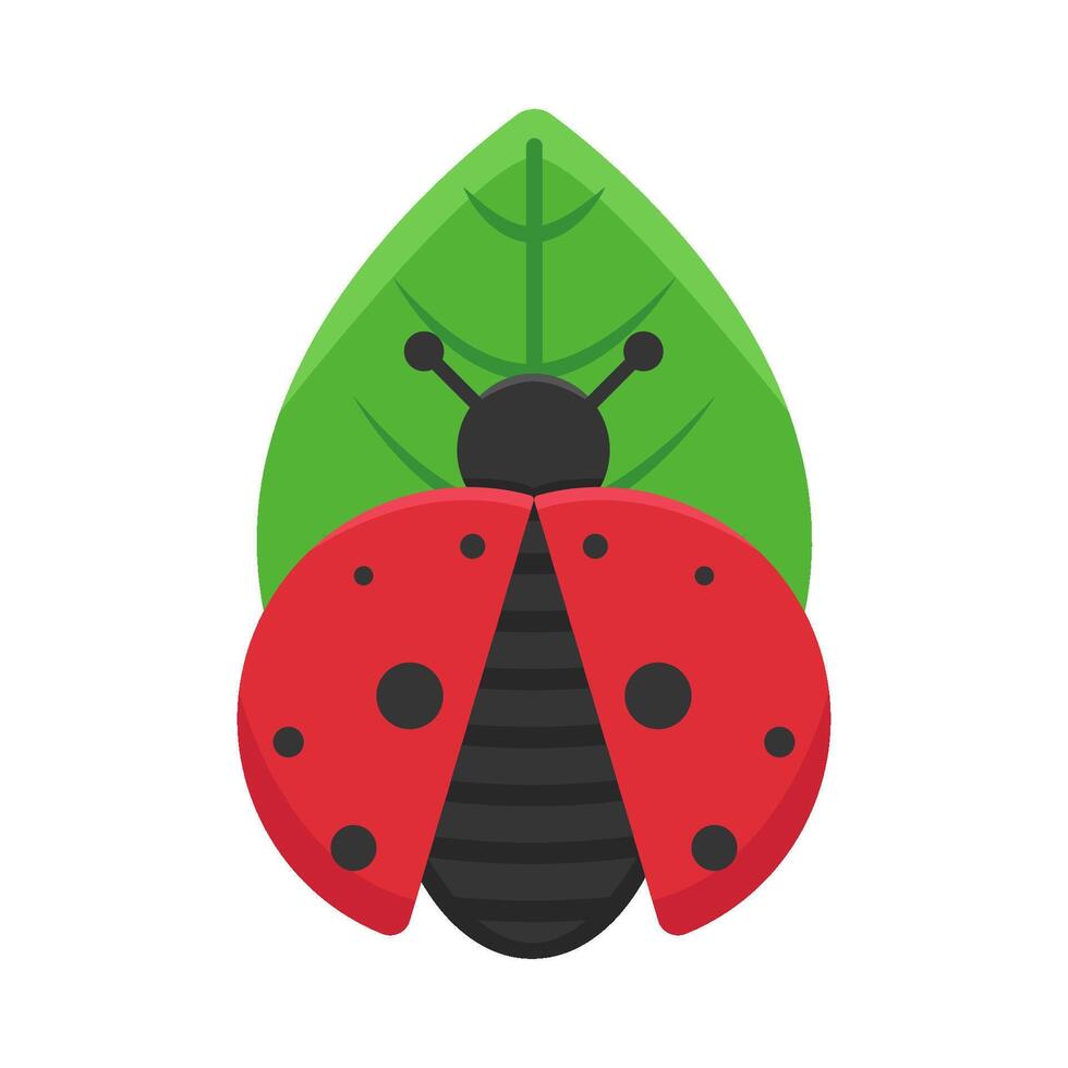 illustrazione di coccinella vettore