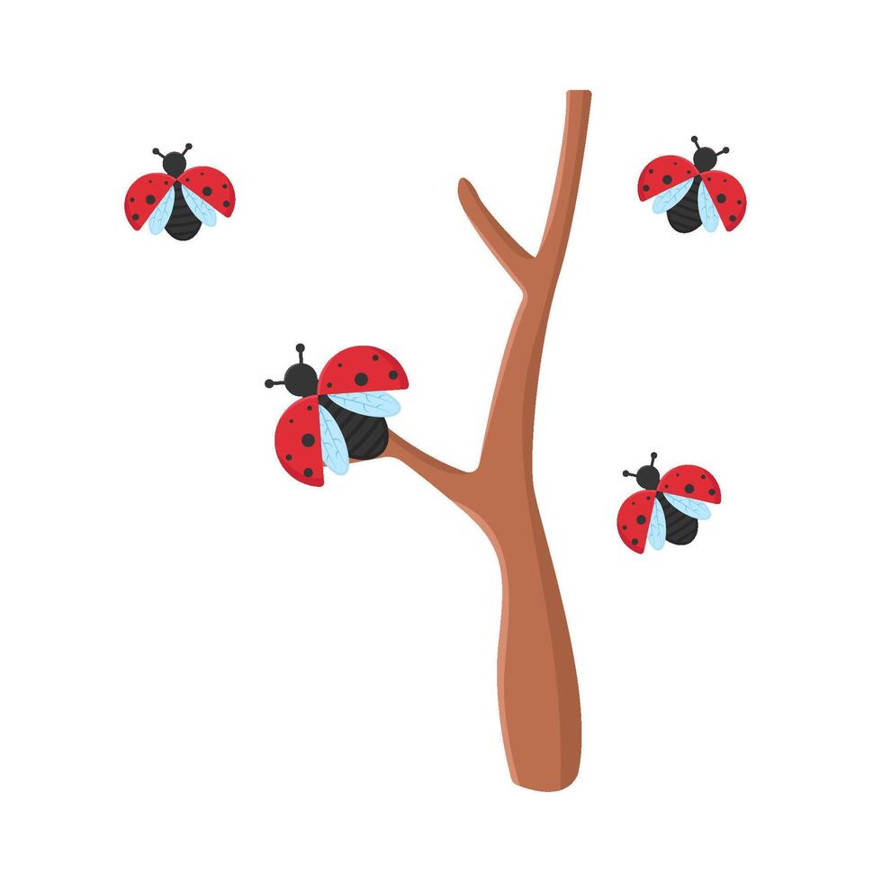 illustrazione di coccinella vettore