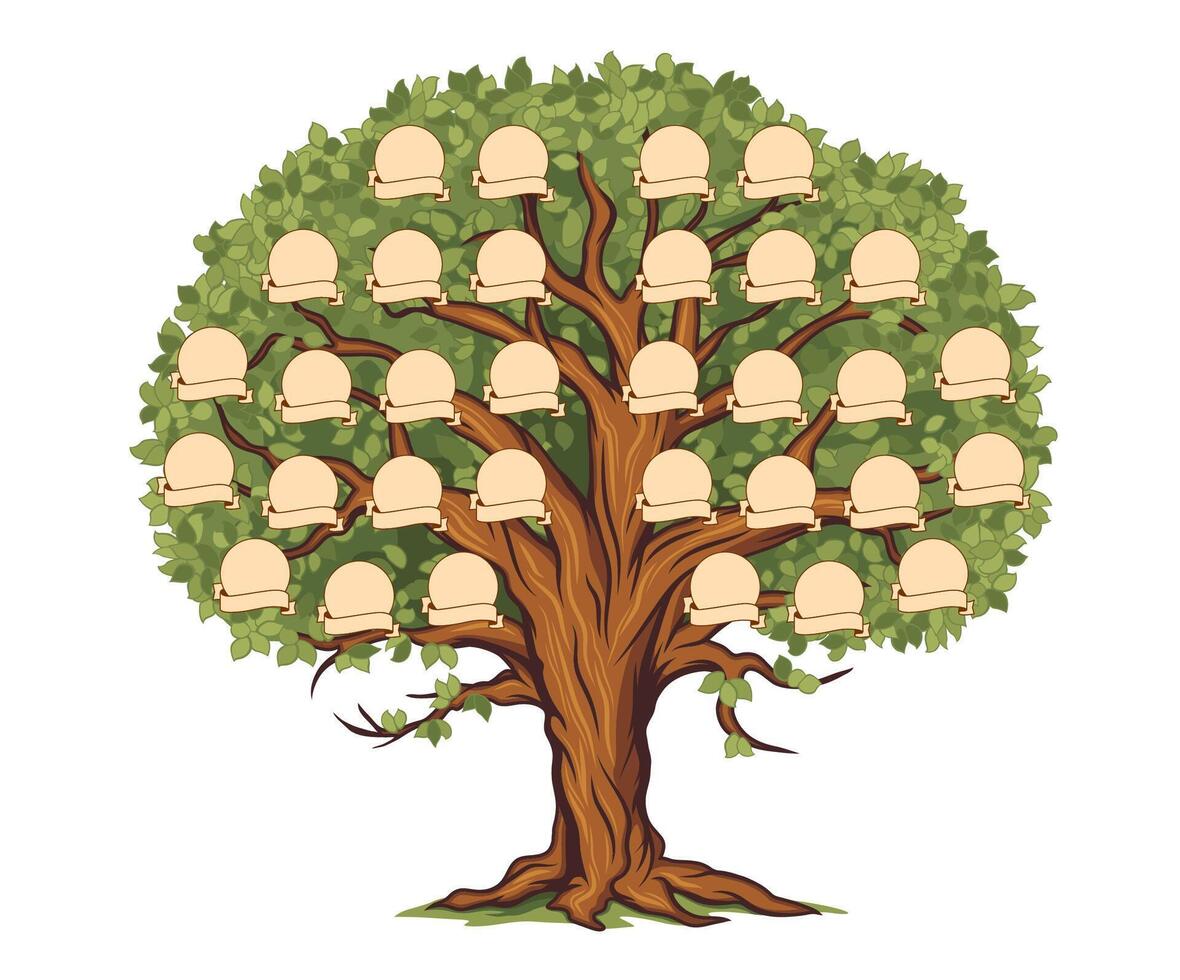 genealogia famiglia storia albero con foto montatura vettore