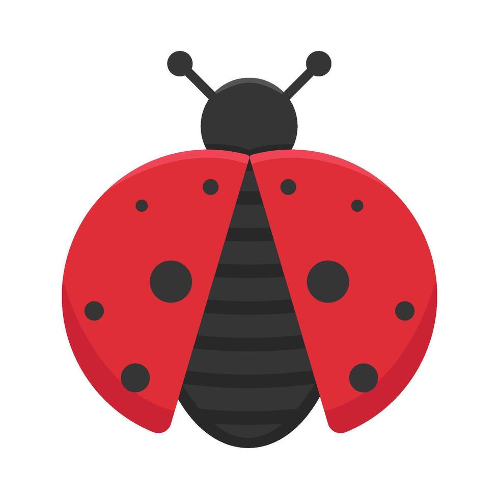 illustrazione di coccinella vettore