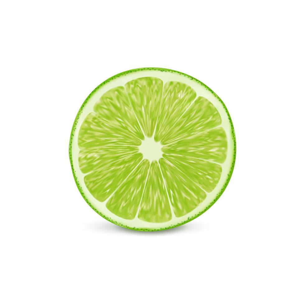 realistico verde maturo crudo lime frutta isolato fetta vettore