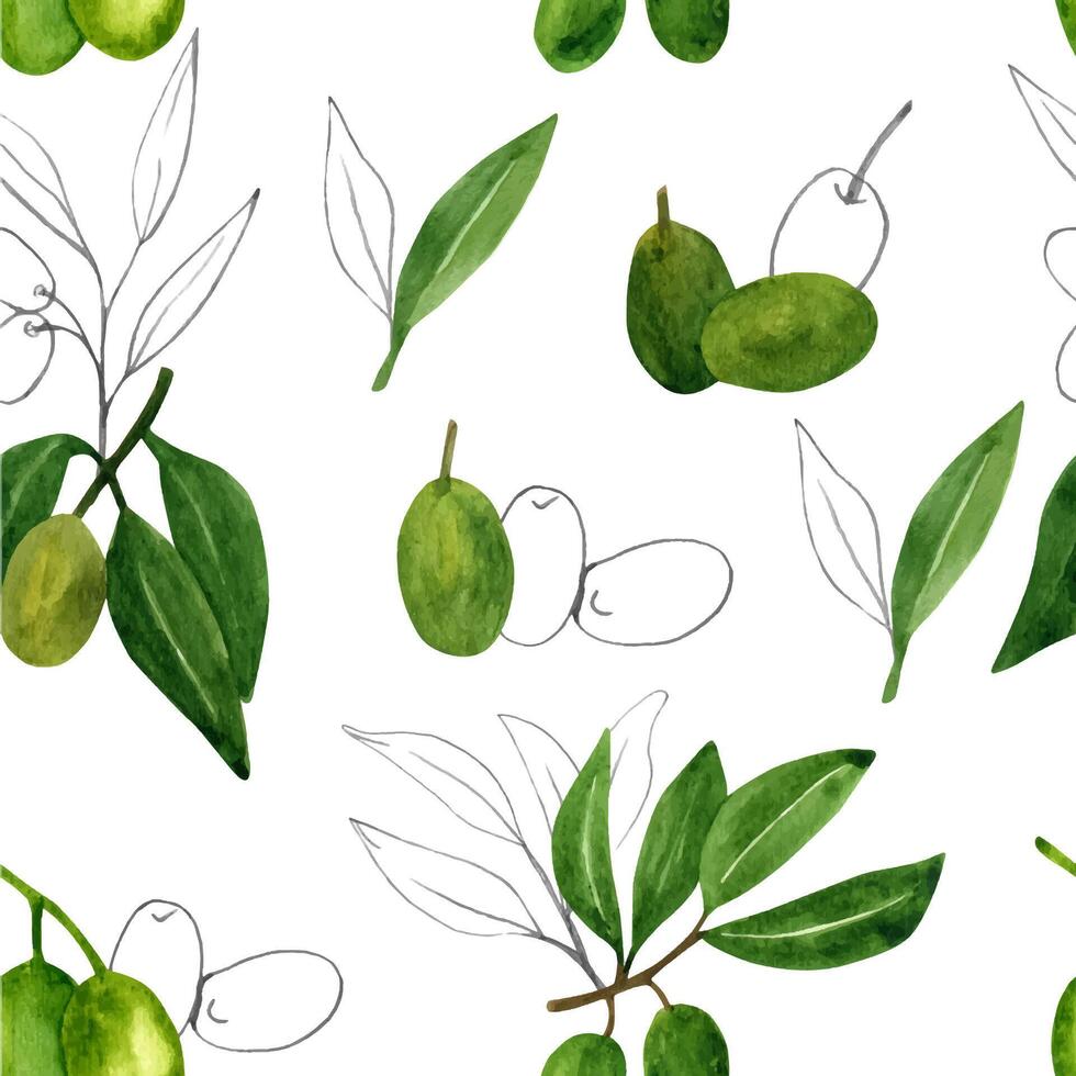 matita e acquerello olive senza soluzione di continuità modello con oliva rami e frutta per italiano cucina design vettore