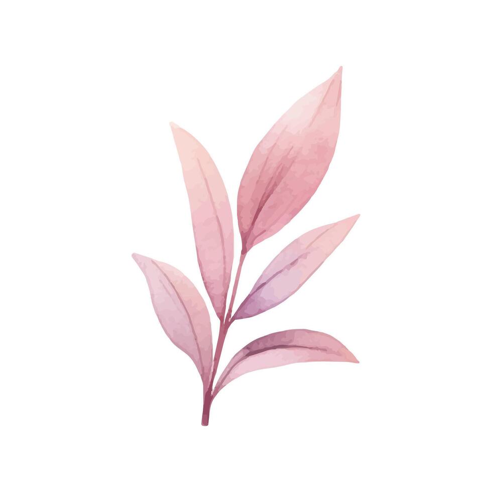 acquerello primavera pianta. delicato acquerello pianta per nozze inviti, manifesti. vettore botanico pastello colorato.