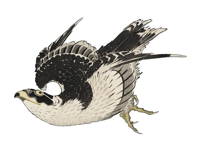 L&#39;illustrazione ukiyo-e, Hawk di Katsushika Hokusai (1849), un ritratto di un falco volante nel cielo. Migliorato digitalmente dalla nostra antica stampa a blocchi di legno. Miglioramento digitale di rawpixel. vettore