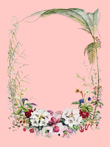 Frontespizio da illustrazioni di piante himalayane (1855) di WH (Walter Hood) Fitch (1817-1892). Miglioramento digitale di rawpixel. vettore