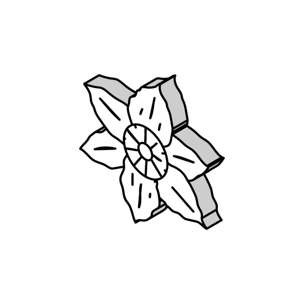 clematide fiore primavera isometrico icona vettore illustrazione