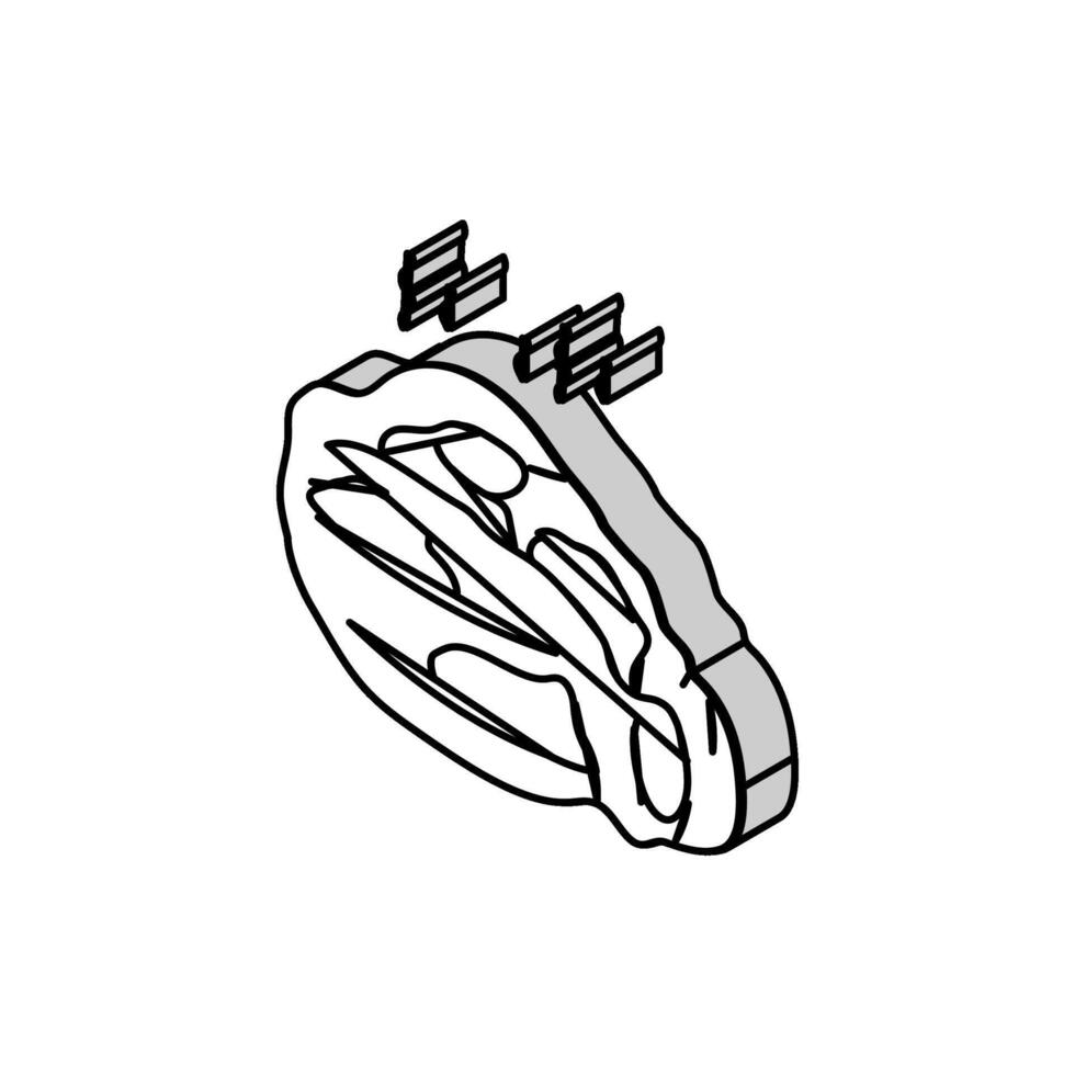 prosciutto affumicato isometrico icona vettore illustrazione