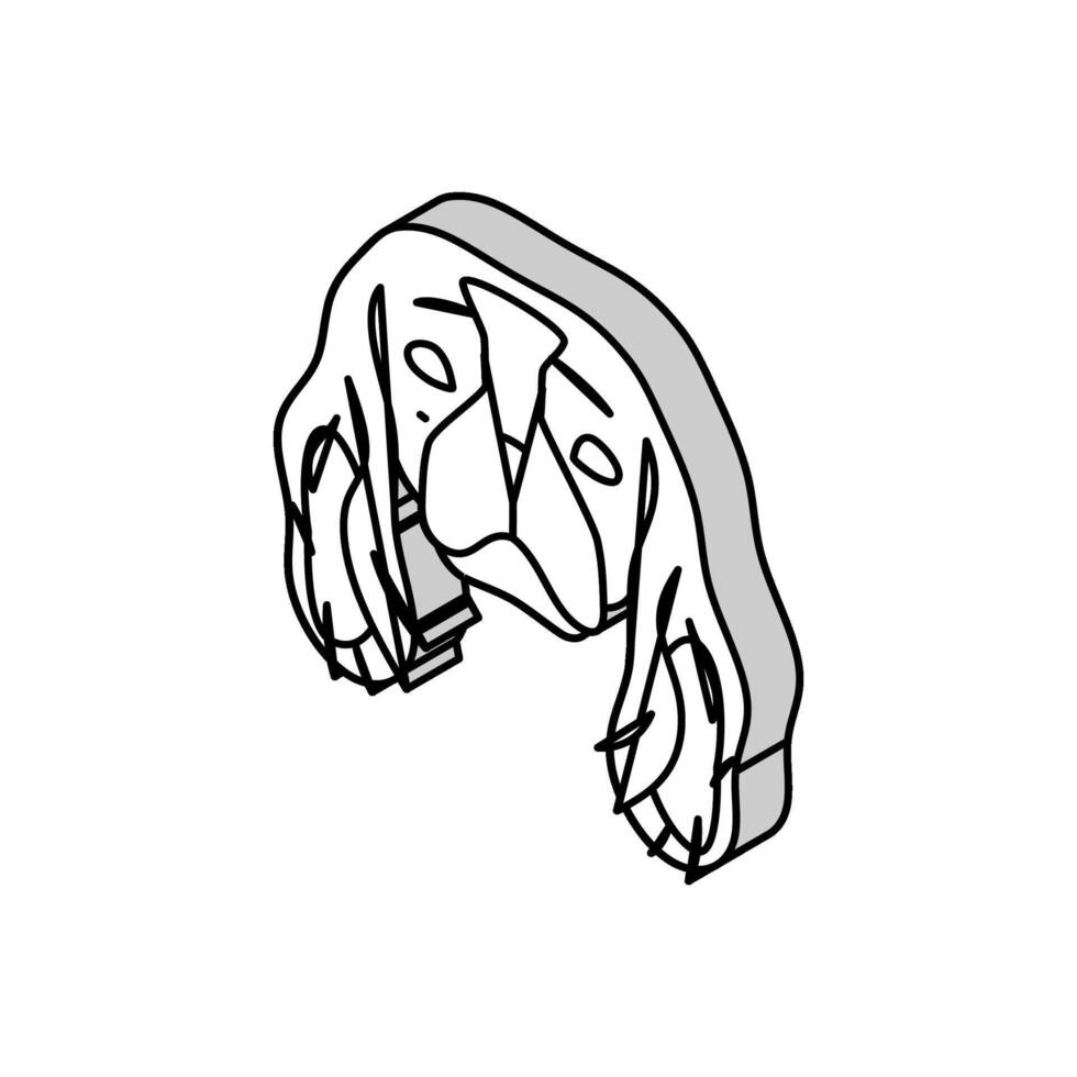 cavaliere re charles spaniel cane cucciolo animale domestico isometrico icona vettore illustrazione