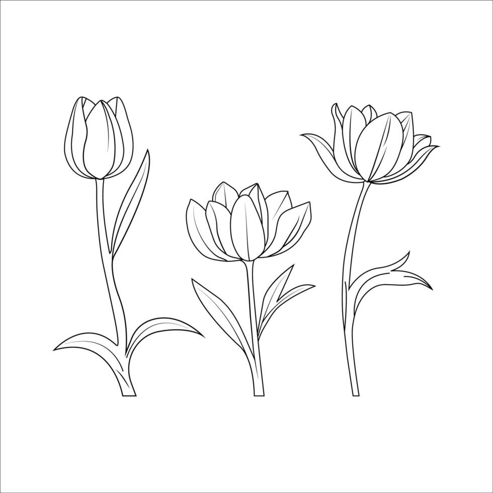 vettore linea arte tulipano fiore