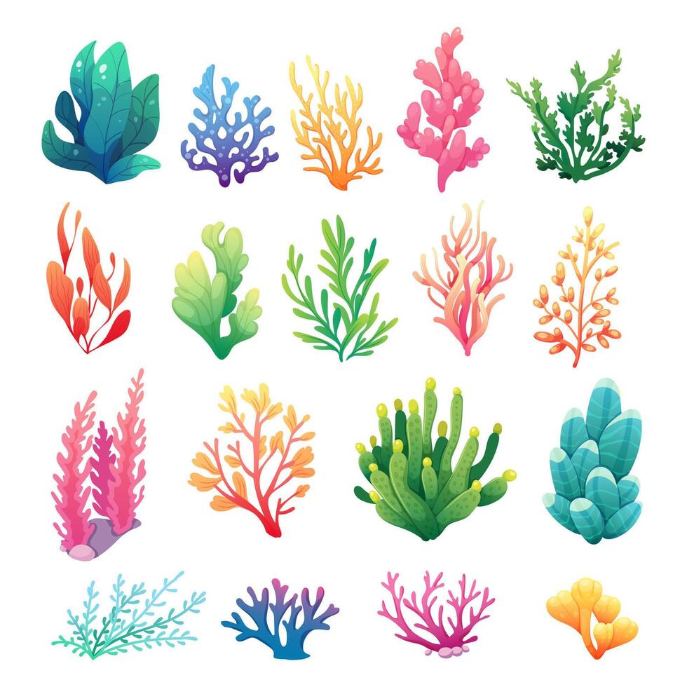 impostato di favoloso mare coralli e alghe su bianca sfondo. cartone animato vettore illustrazione di marino flora nel pendenza