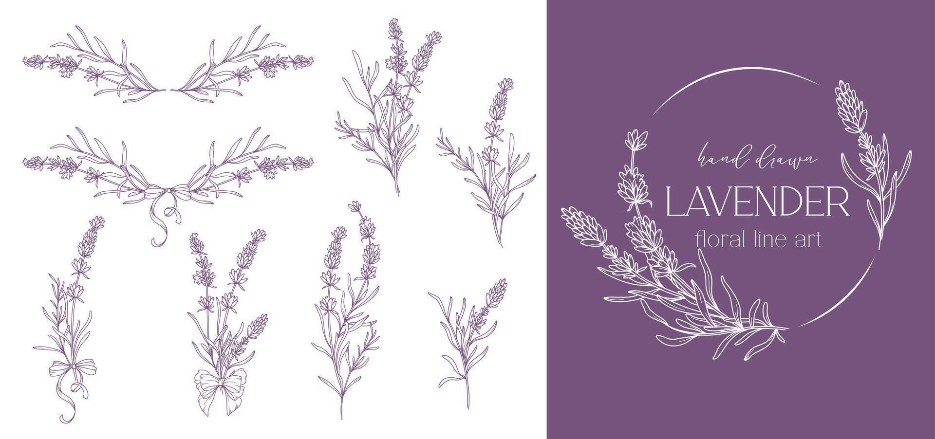 lavanda linea disegno. nero e bianca floreale mazzi di fiori. fiore colorazione pagina. floreale linea arte. bene linea lavanda illustrazione. mano disegnato fiori. botanico colorazione. nozze invito fiori vettore