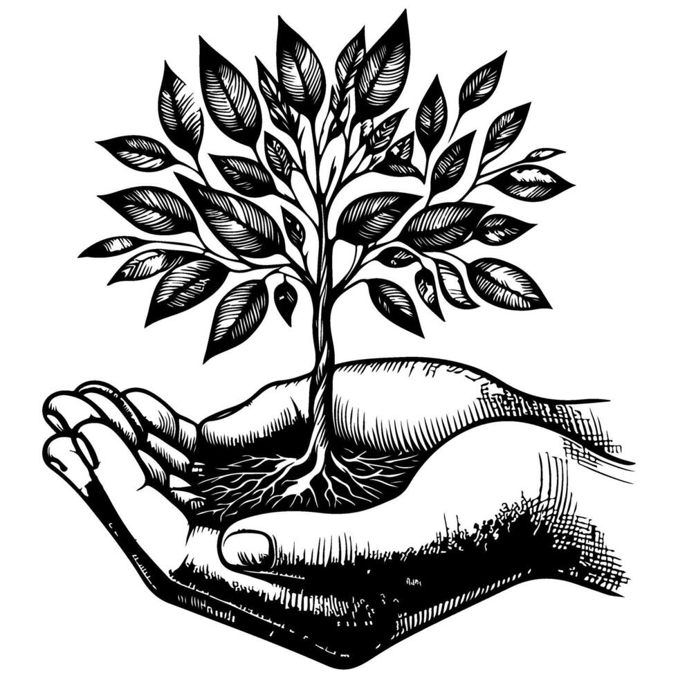 avvicinamento mani Tenere nero linea albero germoglio in crescita a partire dal suolo su mani. terra pianeta protezione concetto giorno vettore