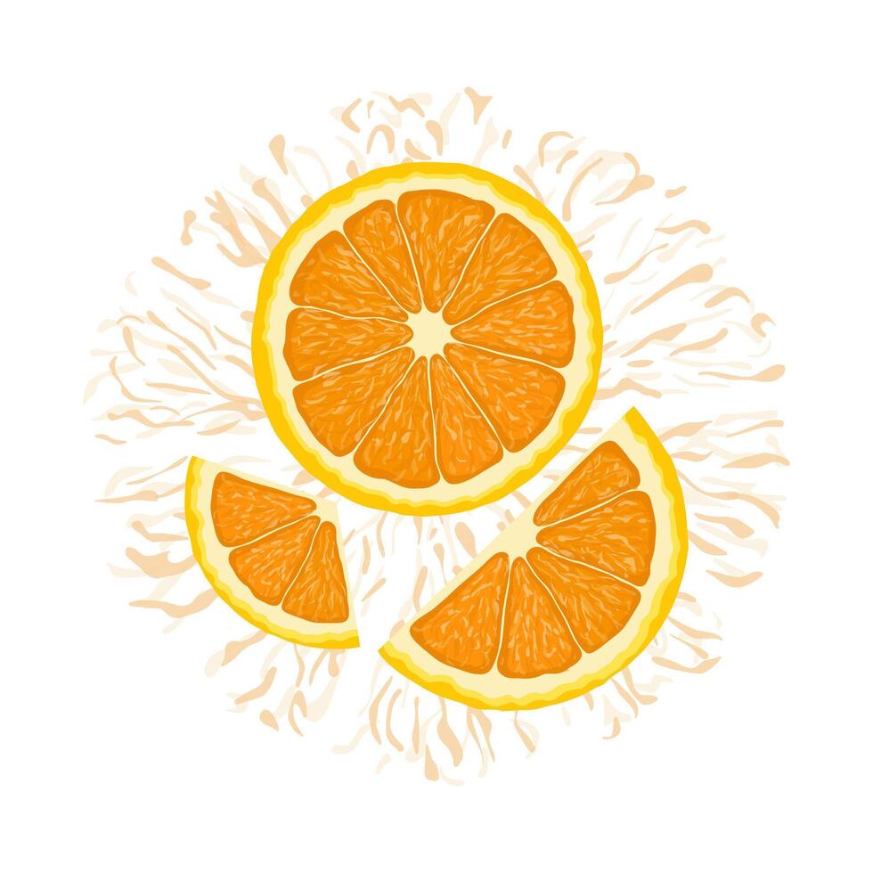 vettore illustrazione di un' colorato arancia, metà e fette. mano disegnato. isolato su bianca sfondo.