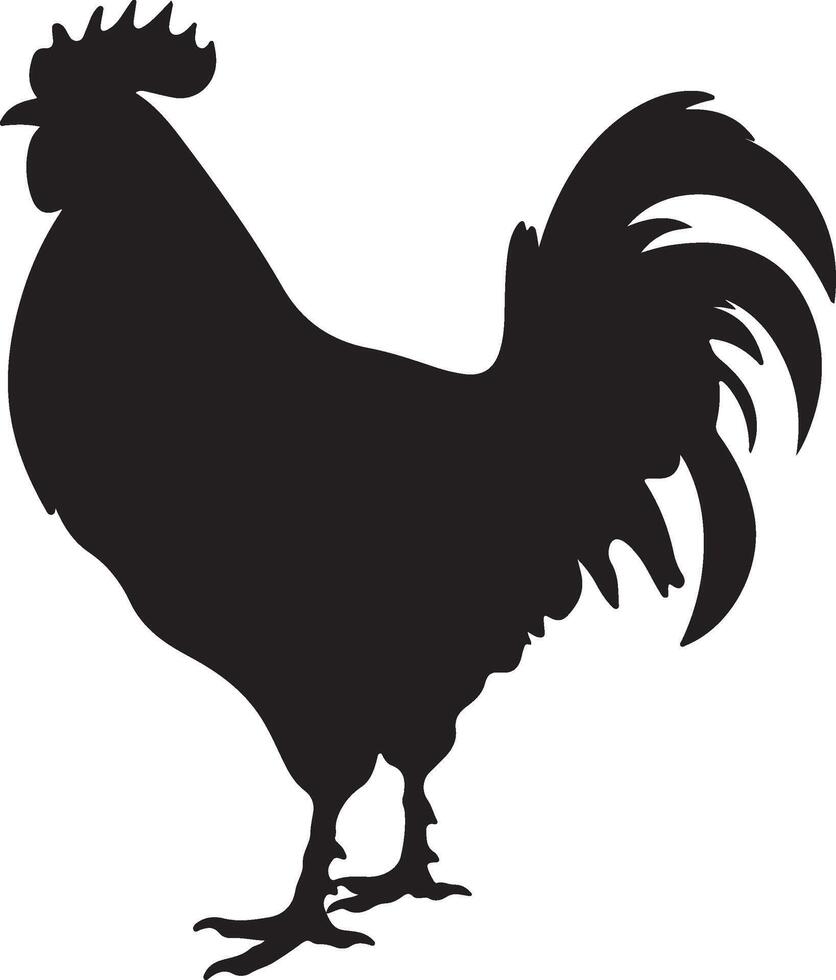 pollo silhouette vettore illustrazione bianca sfondo