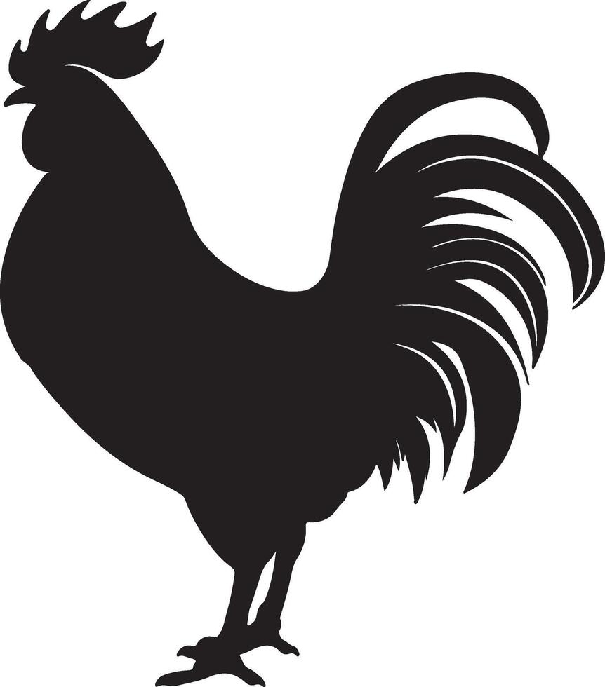 pollo silhouette vettore illustrazione bianca sfondo