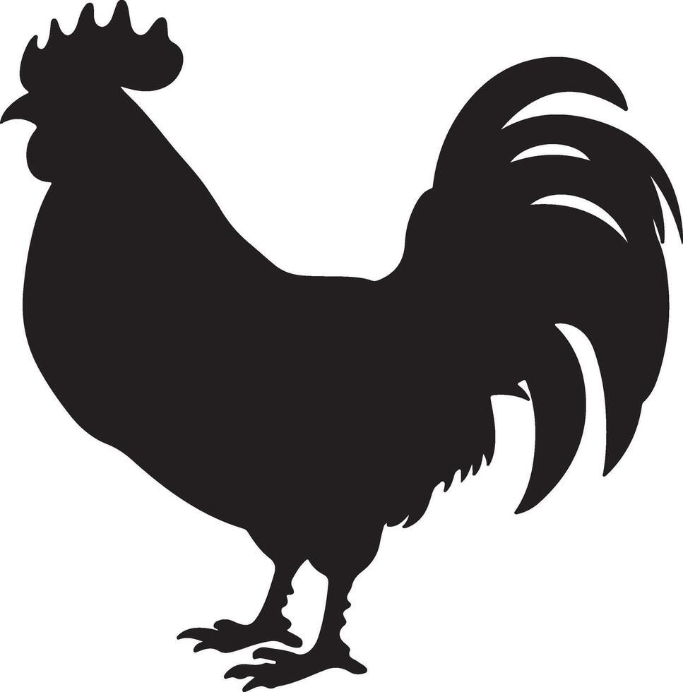 pollo silhouette vettore illustrazione bianca sfondo